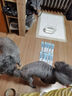 猫条猫零食补充营养味美妙鲜湿粮包猫罐头猫条100支整箱猫咪零食 猫条鸡肉蔓越莓口味【15g*10支】 实拍图