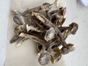 十月稻田 鹿茸菇 150g 高蛋白 脆嫩提鲜 山珍菌菇干货 炒菜煲汤火锅食材 实拍图