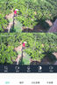 奥克斯4g太阳能摄像头室外无电无网终身免费流量免插电手机远程高清监控器家用户外360度无死角全景夜视 实拍图
