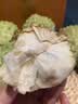 三萌果蔬凤梨牛奶释迦果【顺丰-多地次日达】释迦摩尼果番荔枝新鲜水果 【较甜·精选果】单果150-250g 3斤装【实惠尝鲜·较划算】净2.5斤 实拍图