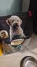 欧恩焙加拿大原装进口无谷小型犬低温烘焙配方全犬粮全阶段成犬幼犬狗粮 无谷鱼肉小型犬粮5磅/2.27kg 实拍图