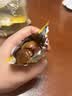 金源旺即食板栗仁去壳熟食小包装熟食非糖炒板栗油栗子孕妇解馋零食批发 板栗仁【共10包约250g】特大颗粒 实拍图
