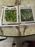 北蔬 小香葱种子苗四季播种阳台盆栽菜种籽 四季小香葱种子1000粒x2包 实拍图