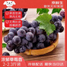 京鲜生 云南克伦生无籽红提 尝鲜装2-2.3斤 爽脆爽口 皮薄可食 生鲜水果 实拍图
