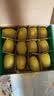 佳沛（zespri）新西兰 阳光金奇异果12粒特大果单果124-146g 猕猴桃水果礼盒 实拍图