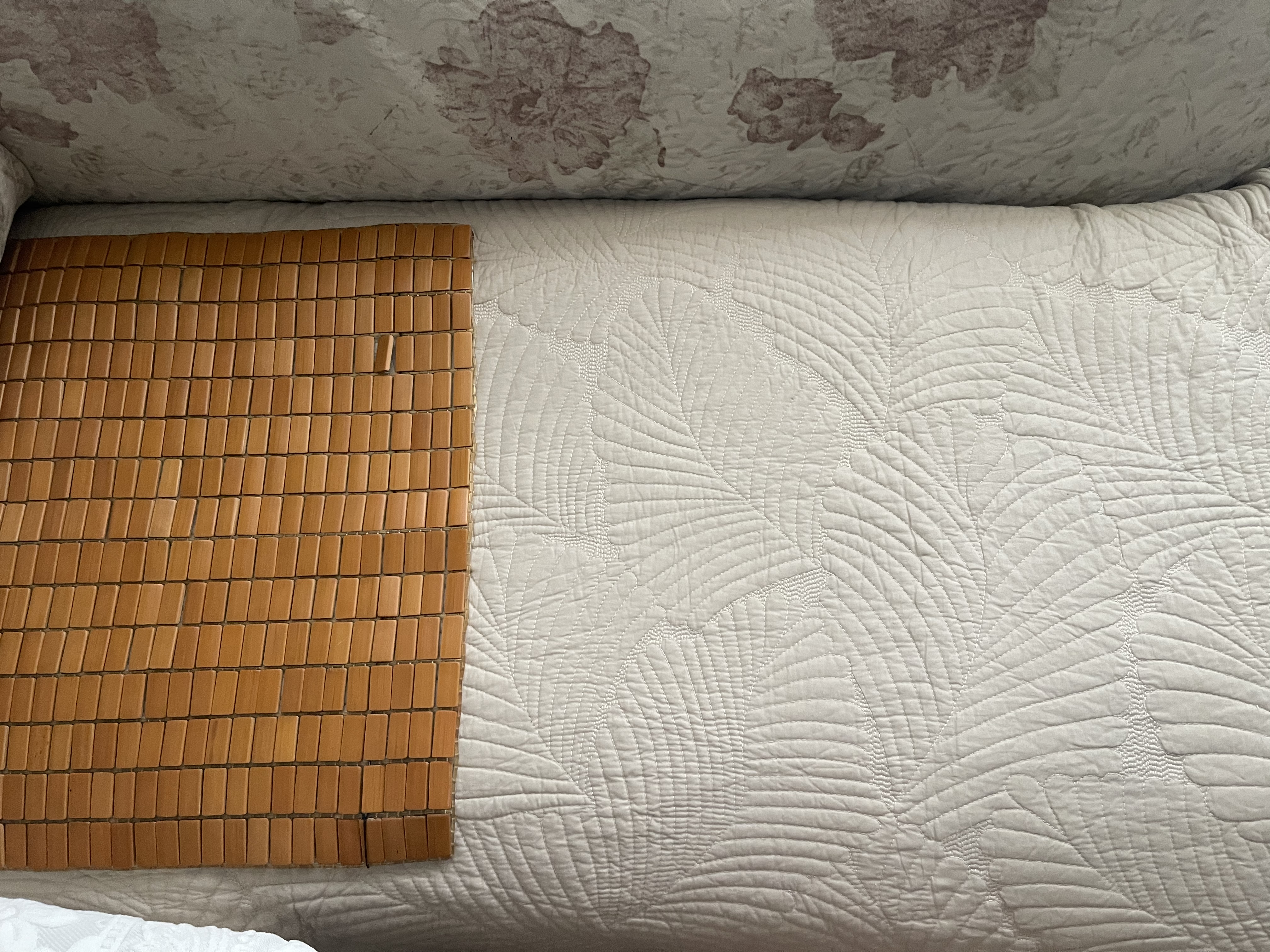 艾薇（AVIVI）全棉沙发垫坐垫四季通用沙发套罩巾盖布防滑飘窗垫90*160福叶米色 实拍图