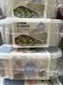 维艾（Newair）食品级304不锈钢备菜盘火锅配菜盒备餐带盖长方形家用收纳保鲜托 实拍图
