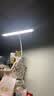 美的（Midea）LED护眼台灯学生宿舍卧室床头学习阅读灯家用矩形夹子灯便携 插电 实拍图