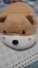 名创优品（MINISO）柴犬系列趴姿抱枕办公室卧室午睡枕客厅沙发靠枕生日礼物 实拍图