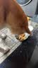 麦富迪狗狗零食 奢华营养鸭肉干1200g成幼犬磨牙训练奖励解馋宠物零食 实拍图