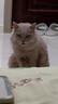 pidan混合豆腐猫砂 豆腐膨润土皮蛋猫砂除臭猫砂结团快 经典款2.4kg*4 实拍图