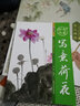 中国画国画技法入门基础教程国画教材写意写意荷花画临摹绘画入门自学零基础工笔画书 国画技法国画山水画临摹书 实拍图