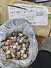 福东海芡实280g 鸡头米鸡头果肇庆红皮芡实仁可搭茯苓四神汤杂粮祛湿汤 实拍图