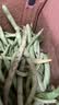 农家四季豆新鲜现摘云南长扁豆角农家应当季蔬菜芸豆现摘菜豆 新鲜四季豆3斤带箱 实拍图