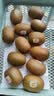 佳沛（zespri）新西兰 阳光金奇异果12粒特大果单果124-146g 猕猴桃水果礼盒 实拍图