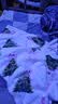 牛奶雪花绒毯子薄款空调毯办公室午睡毯沙发小毯子铺床单一毯多用 玫瑰 70*100cm【随机颜色】 实拍图