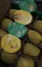 佳沛（zespri）新西兰 阳光金奇异果12粒特大果单果124-146g 猕猴桃水果礼盒 实拍图