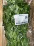 带根香菜100g 实拍图