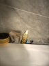 雅漾（Avene）三重专研洁肤油400ml AD沐浴油沐浴露保湿舒缓干痒敏全身清洁男女 实拍图