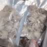 活冻章鱼 迷你小八爪鱼冷冻小章鱼 海鲜源头直发 1500g(净重)  含30%保护冰 实拍图