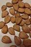 楼兰蜜语甜杏仁600g/盒南杏仁中秋送礼盒烘焙每日坚果杏仁露零食下午茶 实拍图
