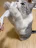 柒哦猫梳子跳蚤梳猫咪除蚤排梳狗狗梳子去跳蚤梳密齿梳神器猫用品 大除蚤排梳【大号】 实拍图
