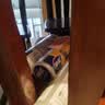 妙洁免刀撕保鲜膜断点 经济装大号*120米 食品级冰箱微波炉不含塑化剂 实拍图