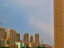 金龙鱼 食用油 非转基因 压榨 一级 纯正玉米油4L*4箱装 实拍图