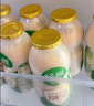 伊利畅意乳酸菌饮品原味(升级版) 100ml*30瓶 礼盒装 实拍图