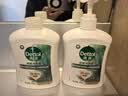 滴露（Dettol）洗手液液体经典松木500g+500g补充装儿童家庭护手替换 实拍图