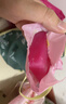 超能女士内衣皂茉莉清香101g*4块除菌洗衣皂安全祛异味内裤专用 实拍图