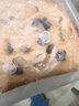 新边界黑麦大列巴切片1000g礼盒装俄罗斯大列巴独立包装早餐面包果仁 实拍图