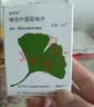 【原研进口】金纳多 银杏叶提取物片 40mg*60片/盒 实拍图
