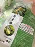 酵素梅增强版青梅孝素梅子搭清肠促便排宿便随便果秘正品膳食补充 1粒*40袋 酵素梅 实拍图