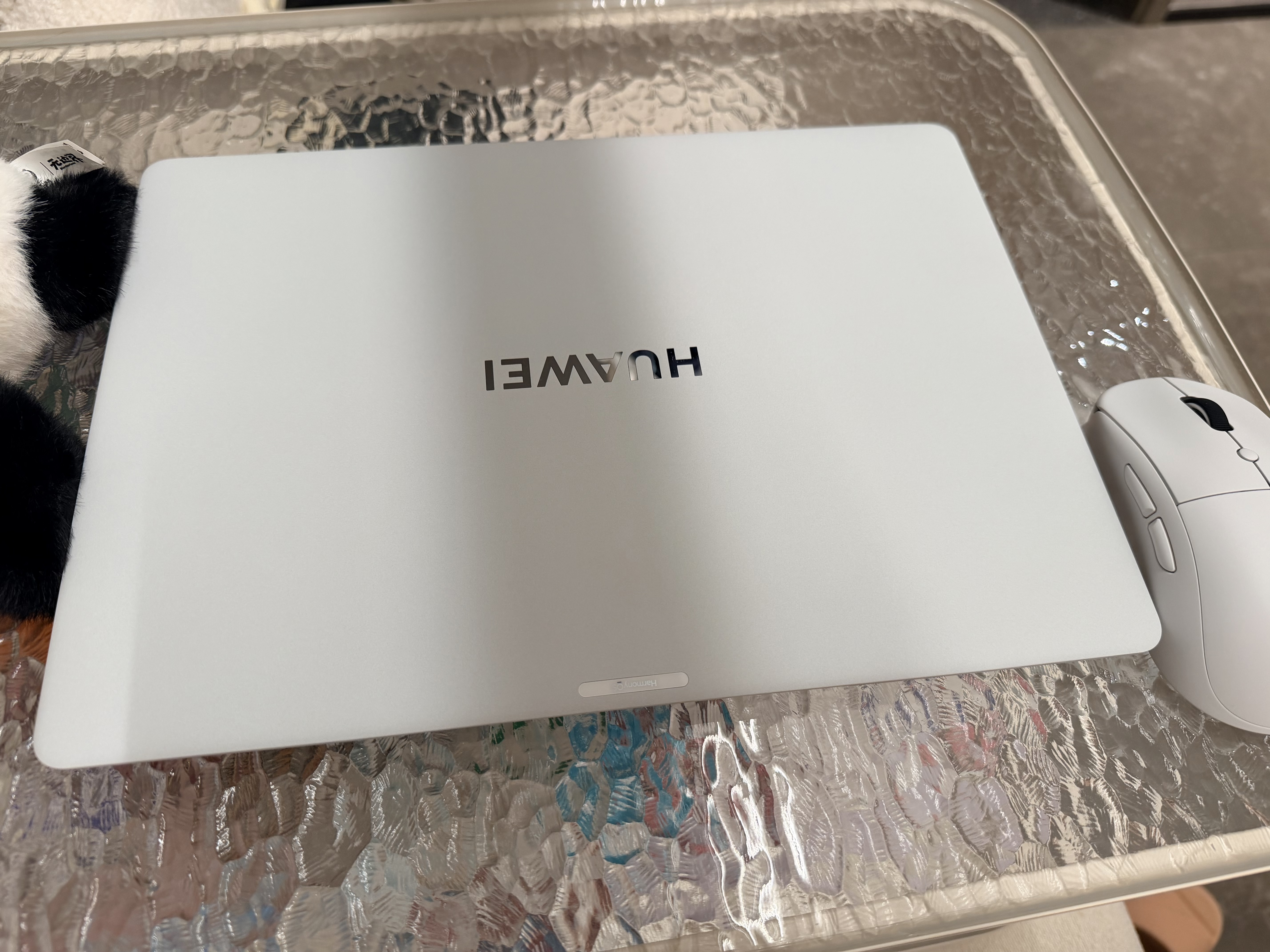 华为MateBook Pro 麒麟X90 Plus柔光版鸿蒙笔记本电脑 OLED云晰柔光屏 970g超轻薄 24GB 1TB宣白 实拍图