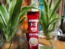 雀巢（Nestle）【樊振东同款】1+2原味低糖*速溶咖啡三合一冲调饮品90条1350g 实拍图