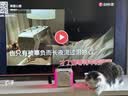 索爱（soaiy）SSk01智能K歌蓝牙音响唱歌麦克风一体带话筒k歌家庭KTV无线唱歌家用卡拉oK儿童节情人节礼物 实拍图