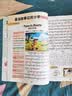 斗半匠40篇英语童话故事记完小学1000词小学英语知识归纳总结7天背完1000词英语单词记背神器英语词汇每日一练【2册 开学季 实拍图