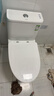 九牧（JOMOO）11173-2-1/41KD-3大力神普通马桶家用虹吸抗菌节水坐便器400坑距 实拍图