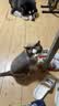 玫斯（metz）猫粮无谷天然猫粮成猫幼猫全阶段鲜肉孕猫全价奶糕猫粮 玫斯无谷鲜肉全猫粮6.8KG 实拍图