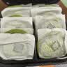 鲜京采the Roll'ING联名 黑金抹茶瑞士卷 500g/8片冰淇淋蛋糕面包甜品 实拍图