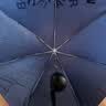 天堂伞 防风雨伞三折 便携折叠拒水晴雨两用伞商务伞男女趣味字母深藏青 实拍图