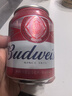 百威啤酒mini红罐淡色拉格255ml*24小罐整箱装京东自营喜酒 实拍图