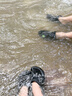 卡骆驰（CROCS）经典洞洞鞋轻便百搭女沙滩鞋包头拖鞋男鞋|10001 黑色-001(含智必星) 37 /38(230mm) 实拍图