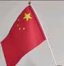 优和（UHOO）国庆手持小国旗手摇旗小红旗手摇国旗小五星红旗 8号小国旗带杆（100面+100杆+32贴纸）6198-2 实拍图