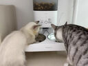霍曼（Homerun）宠物智能自动喂食器猫粮定时猫咪自动投食机不锈钢双碗增高版PF20 实拍图
