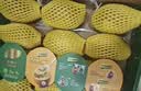 佳沛（zespri）新西兰 阳光金果25-27粒原箱特大果单果124-146g 猕猴桃水果礼盒 实拍图