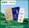 蒙牛【新鲜日期】特仑苏纯牛奶250ml*16盒 家庭早餐 送礼礼盒 实拍图