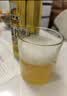 京东京造锁鲜德式双酵母二发精酿啤酒整箱装500ml*12 麦香更浓 京东自营 实拍图