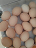 我老家高品质50g大蛋 农家新鲜谷物鸡蛋 40枚2000g 实拍图